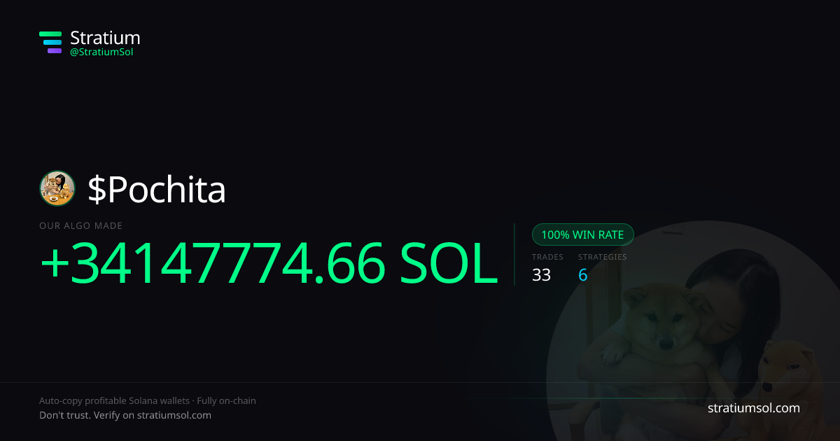 Pochita copy trading performance on Stratium — 33 trades, 100% win rate, +34147774.66 SOL PnL