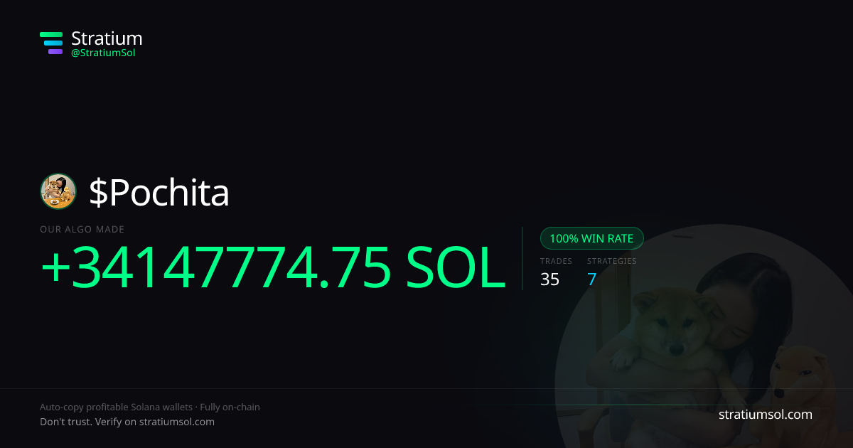 Pochita copy trading performance on Stratium — 35 trades, 100% win rate, +34147774.75 SOL PnL