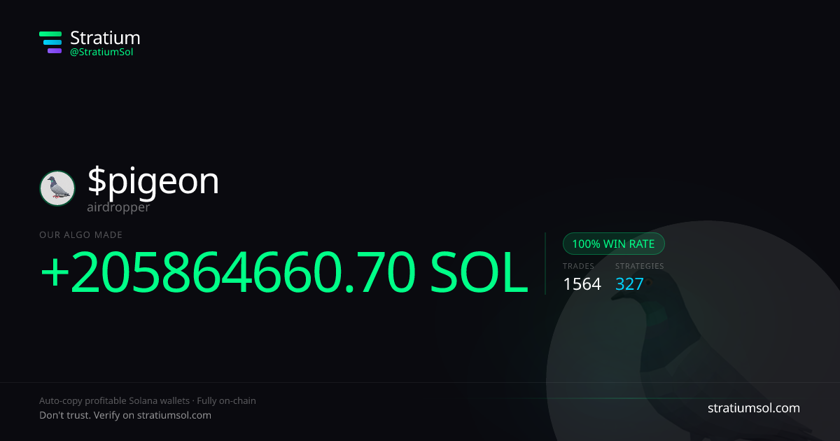 pigeon copy trading performance on Stratium — 1564 trades, 100% win rate, +205864660.70 SOL PnL