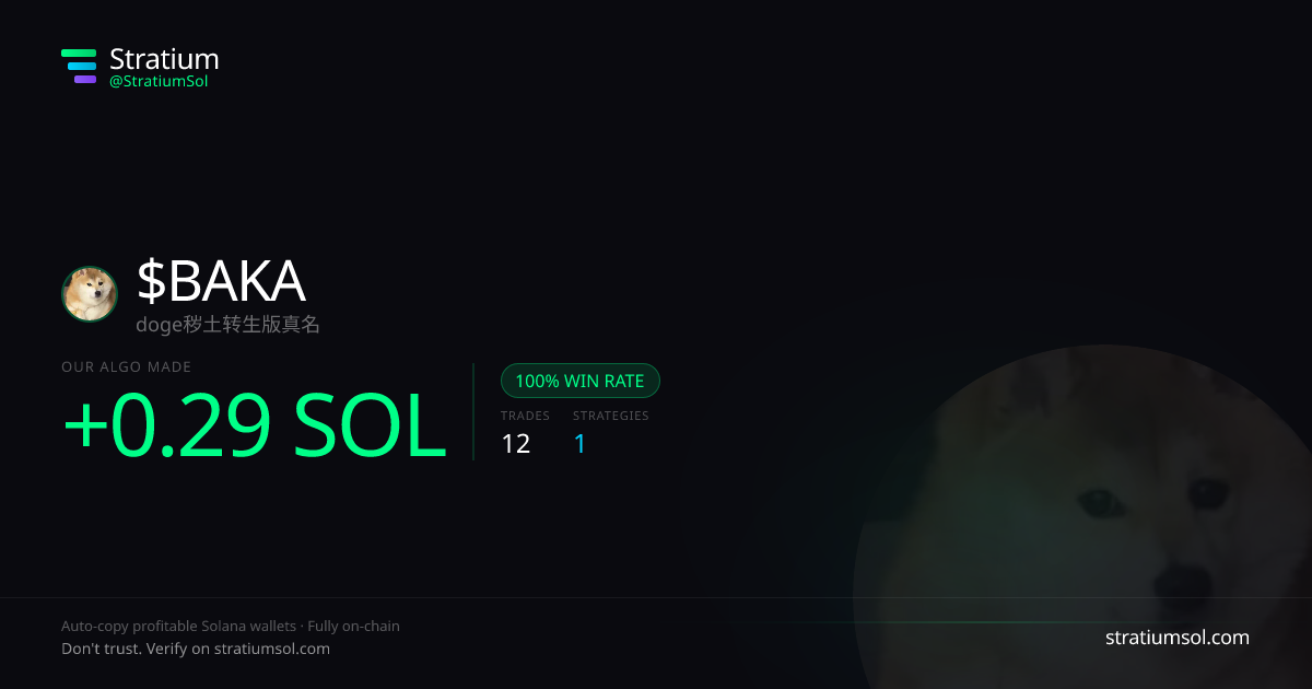 BAKA copy trading performance on Stratium — 12 trades, 100% win rate, +0.29 SOL PnL