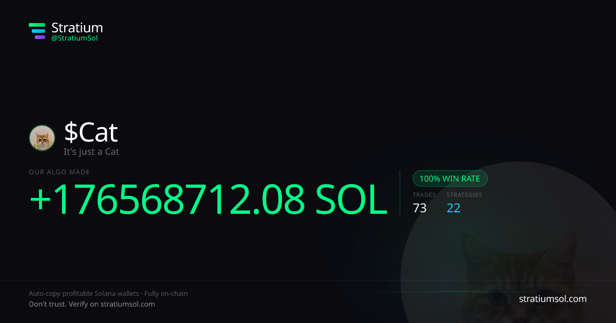 Cat copy trading performance on Stratium — 73 trades, 100% win rate, +176568712.08 SOL PnL