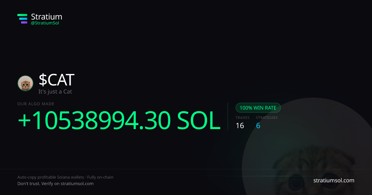 CAT copy trading performance on Stratium — 16 trades, 100% win rate, +10538994.30 SOL PnL