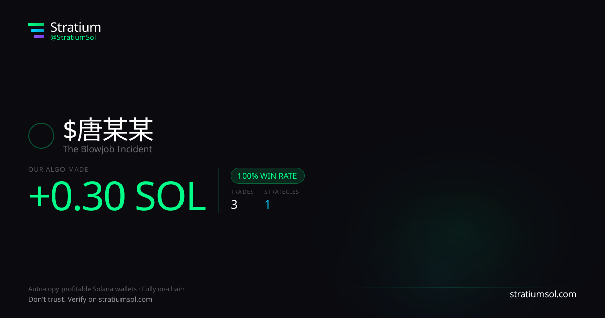 唐某某 copy trading performance on Stratium — 3 trades, 100% win rate, +0.30 SOL PnL