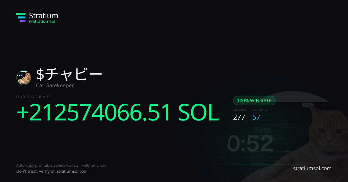 チャビー copy trading performance on Stratium — 277 trades, 100% win rate, +212574066.51 SOL PnL