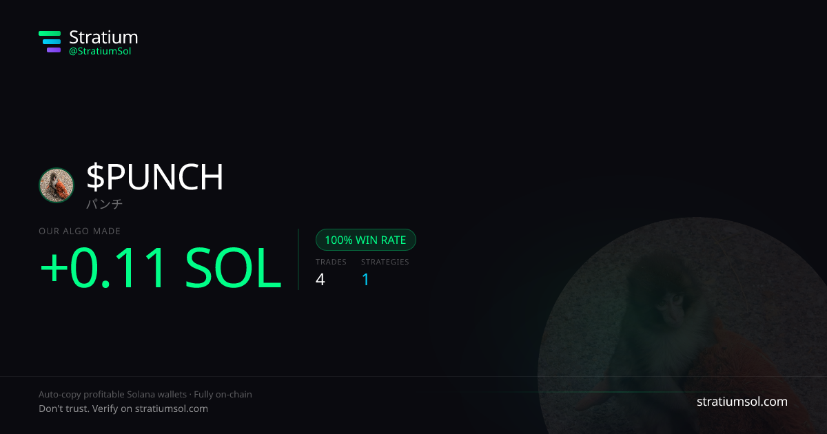 PUNCH copy trading performance on Stratium — 4 trades, 100% win rate, +0.11 SOL PnL