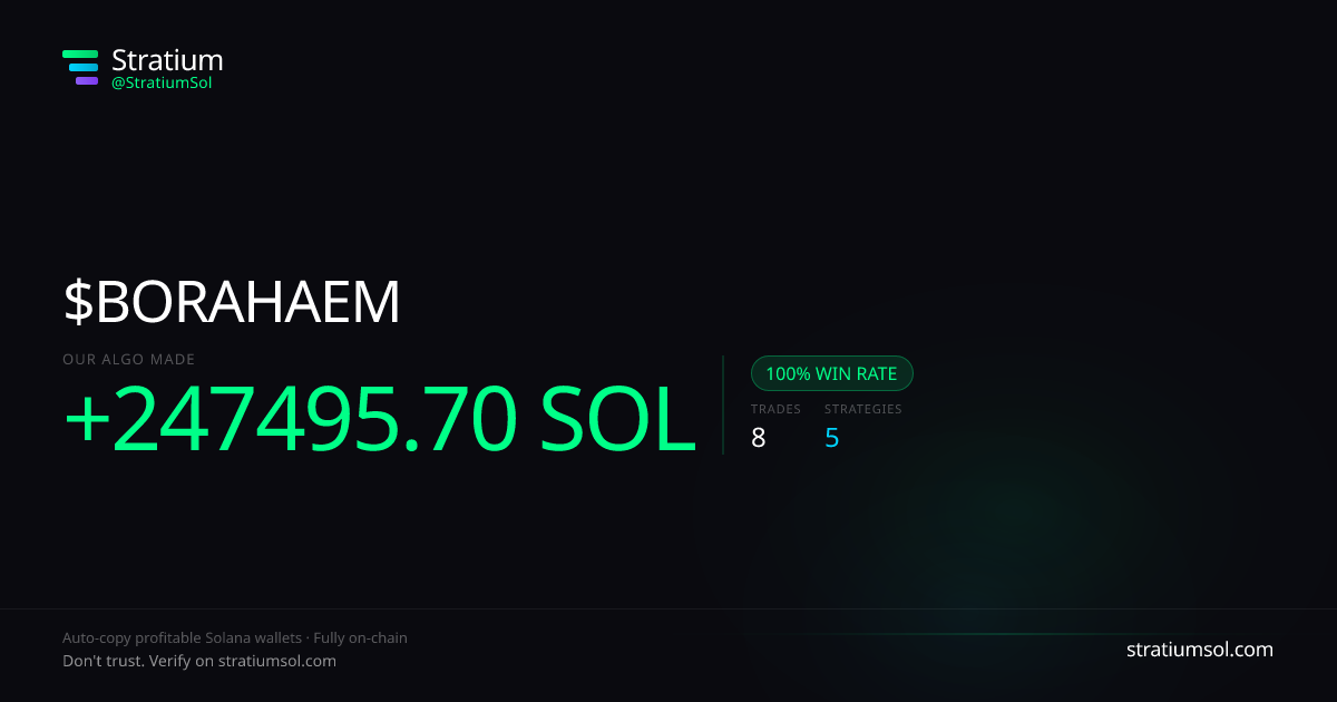 BORAHAEM copy trading performance on Stratium — 8 trades, 100% win rate, +247495.70 SOL PnL